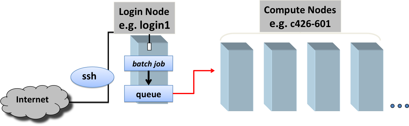 Login and Compute Nodes